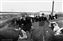#907 John Kennedy at Kist Livestock Mandan ND 1959.jpg